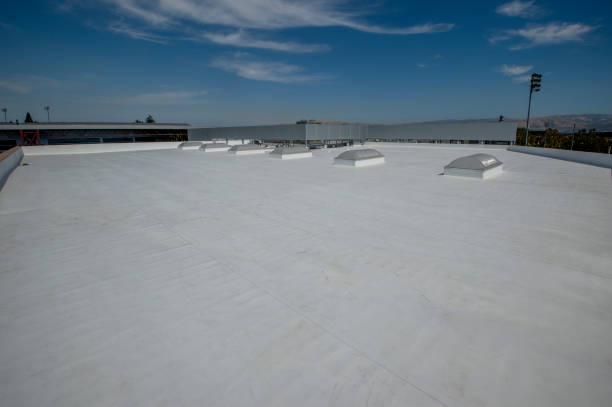 Best Storm Damage Roof Repair  in Jackson, OH
