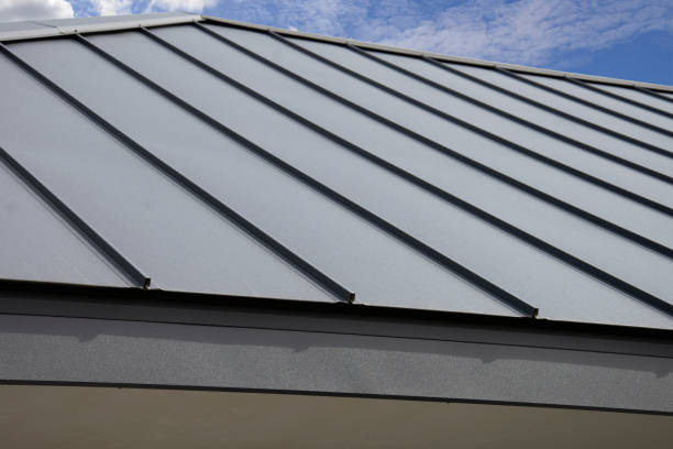 Best Roof Moss and Algae Removal  in Jackson, OH