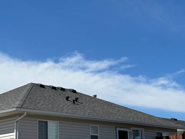 Best Roof Insulation Installation  in Jackson, OH